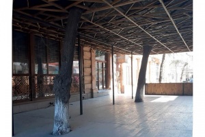 medium-337858175_941375440632648_5863407