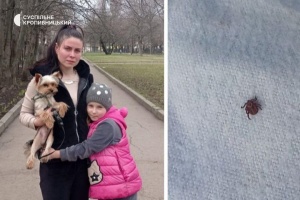 medium-338867362_142935581806964_8982229