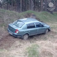 medium-338919460_947237556447228_3336803