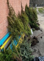 medium-339006376_1650608322122826_715882