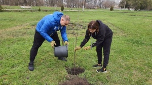 medium-340102893_905909553976582_7726522