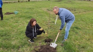 medium-340093132_745868447211877_9104454