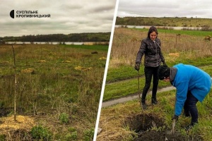 medium-340622595_1859639097748687_702054