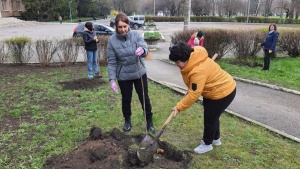 medium-340288279_3393307027583707_304877