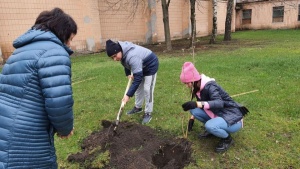 medium-340522800_5886089784824181_651702