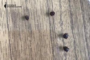 medium-340180076_742085537395842_7871686