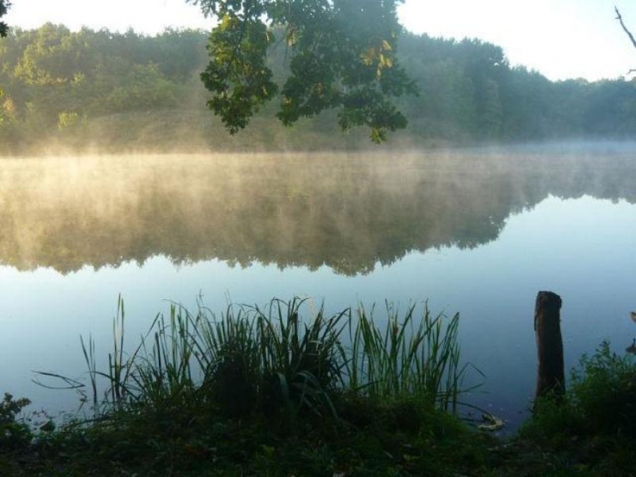 брест черное озеро. озеро константин. озеро черное зелао. чёрное озеро (шатура). про черное озеро.